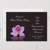 Quinceanera invitation 15e Anniversaire élégant (Dos)