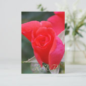 Quinceanera RSVP Rose rouge (Debout devant)