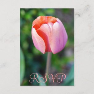 Quinceanera RSVP Roze Tulip 15th Birthday Kaartje