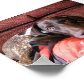 Quincy Poster (Hoek)