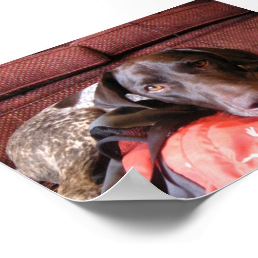 Quincy Poster (Hoek)