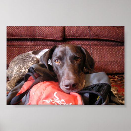 Quincy Poster (Voorkant)