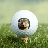 Quintin The Ginger Quokka, Golf Balls Golfballen (Insitu Shirt)