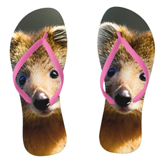 Quintin The Ginger Quokka, Teenslippers (Voetbed)