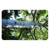 Quipo Tree fotomagneet Magneet (Horizontaal)