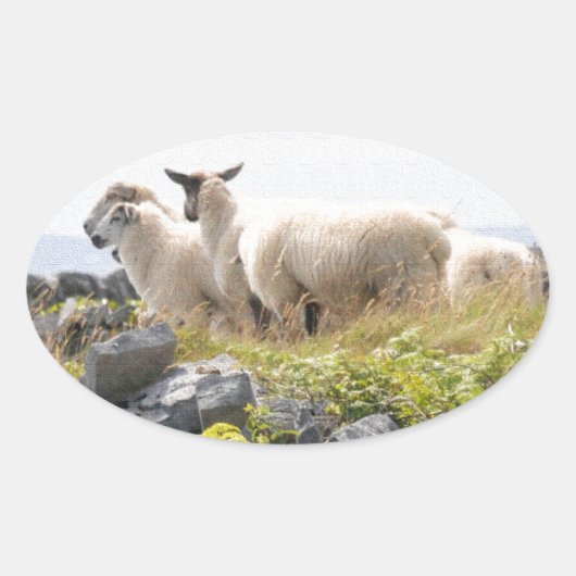 Quirky Design - Schapen in een veld Ovale Sticker (Voorkant)