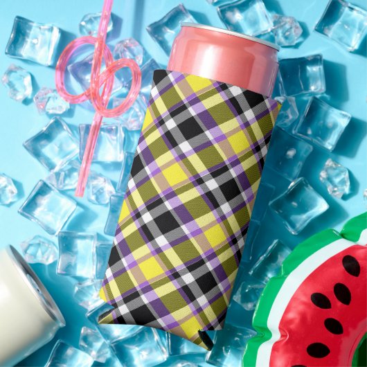 Quirky Eclectische Boho Nonbinary Plaid Pride Vlag (Insitu Zomer)