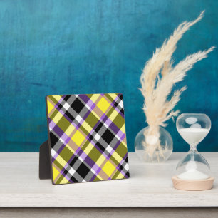 Quirky Eclectische Boho Nonbinary Plaid Pride Vlag Fotoplaat