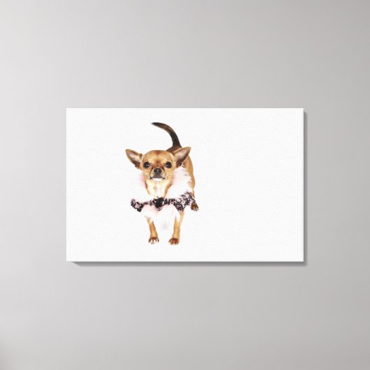 Quirky portret van een Teacup Chihuahua Canvas Afdruk (Voorkant)