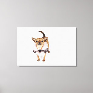 Quirky portret van een Teacup Chihuahua Canvas Afdruk