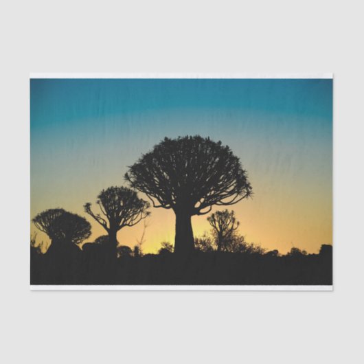 Quiver Tree Forest Sunset Tissue Paper Tissuepapier (Voorkant)