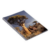 Quiver Trees (Aloe Dichotoma) Notitieboek (Rechterzijde)