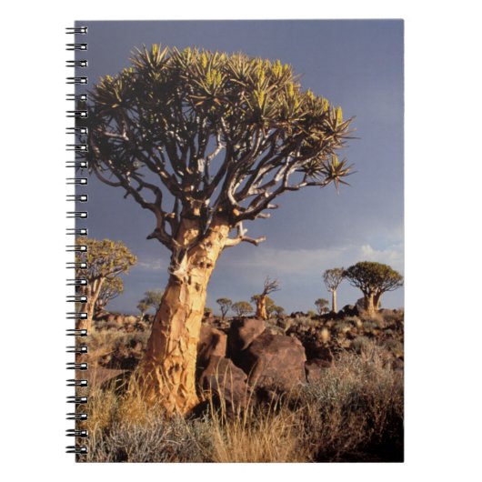 Quiver Trees (Aloe Dichotoma) Notitieboek (Voorkant)
