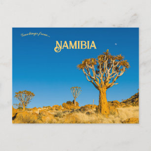 Quiver Trees in Namibië Briefkaart