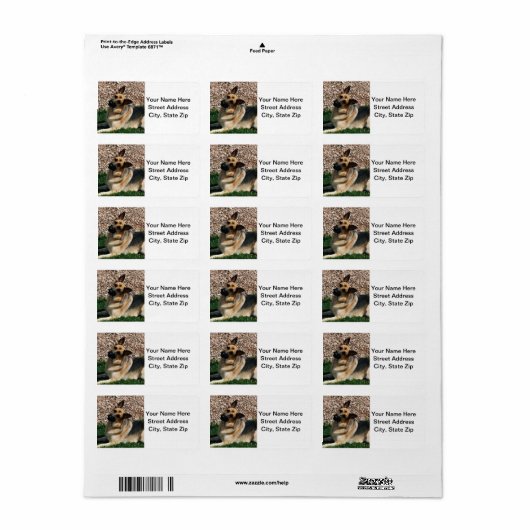 Quizzical German Shepherd Etiket (Full Sheet)