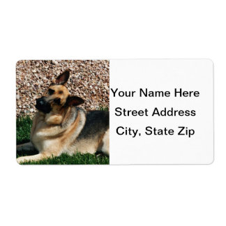 Quizzical German Shepherd Etiket