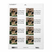 Quizzical German Shepherd Etiket (Full Sheet)