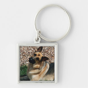 Quizzical German Shepherd Sleutelhanger