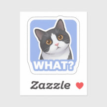 QUOI? Autocollant de chat drôle – Mème de chat con