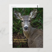 Quoi?! C'est ton anniversaire?! Carte postale (Devant / Derrière)