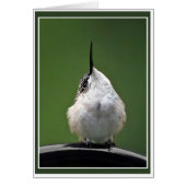 Quoi de neuf ? (Devant)