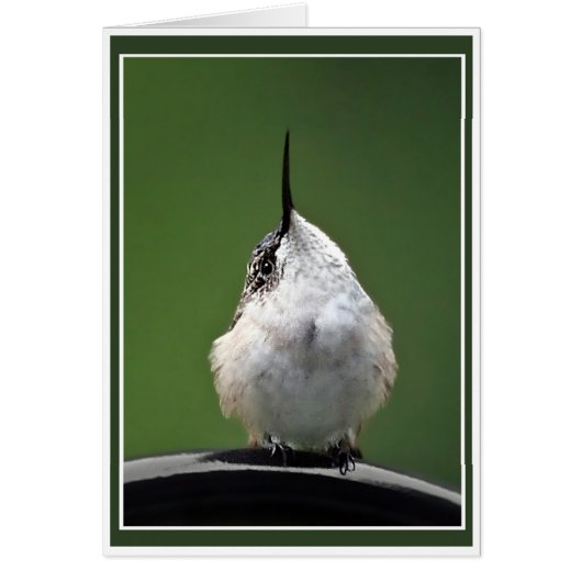 Quoi de neuf ? (Devant)