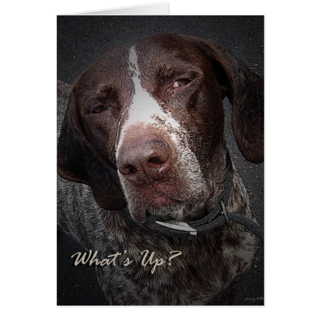 Quoi de neuf (Devant)