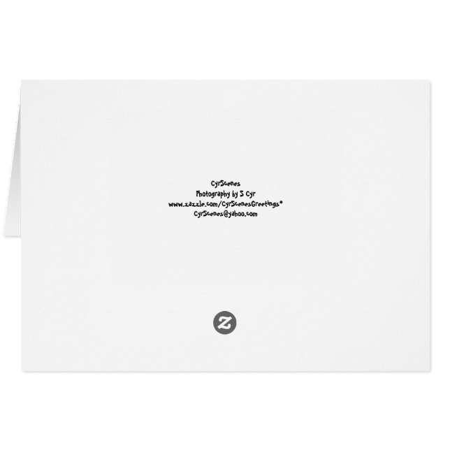 Quoi de neuf ? Carte amusante (Dos Horizontal)