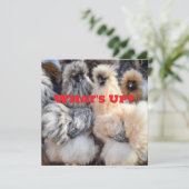 Quoi de neuf, Carte Beurre au poulet (Debout devant)