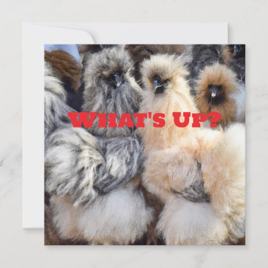 Quoi de neuf, Carte Beurre au poulet (Devant)