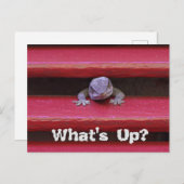 Quoi de neuf ? Carte postale (Devant / Derrière)