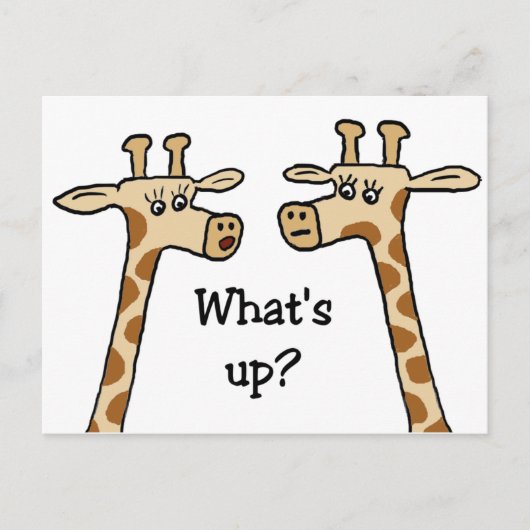 Quoi de neuf ? Cartes postales en girafe (Devant)