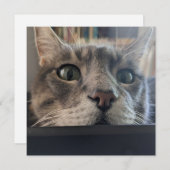 Quoi de neuf, Cat ? Carte de voeux carré (Devant / Derrière)