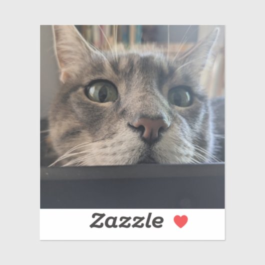 Quoi de neuf, Cat ? Sticker 3" Vinyl (Feuille)