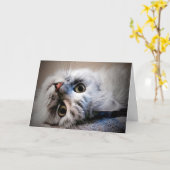 Quoi de neuf ? Penser à votre carte (Fleur jaune)