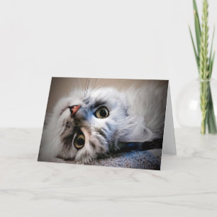 Quoi de neuf ?  Penser à votre carte