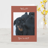 Quoi ? ! Vous avez 40 ans ? Carte d'anniversaire (Fleur jaune)