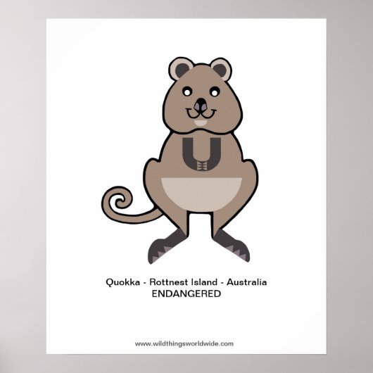 Quokka - affiche (Devant)