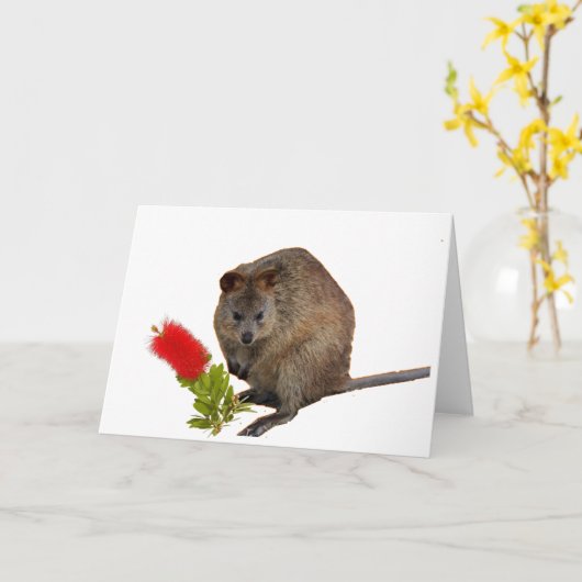 Quokka en Bottleborstel Kaart (Gele Bloem)