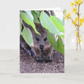 Quokka Greeting Kaart (Gele Bloem)
