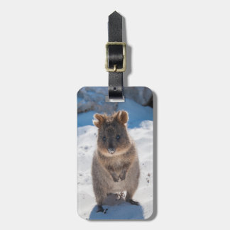 Quokka: Het gelukkigste dier op de planeet! Bagagelabel