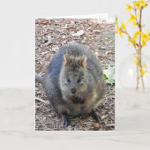Quokka Kaart (Gele Bloem)