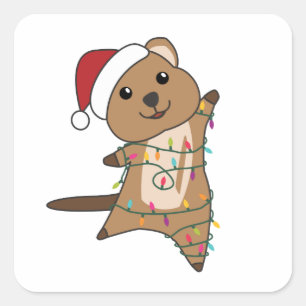 Quokka kerstwinterdieren vierkante sticker