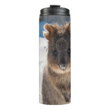 Quokka - Lief Dier op het Strand Australië Blauw