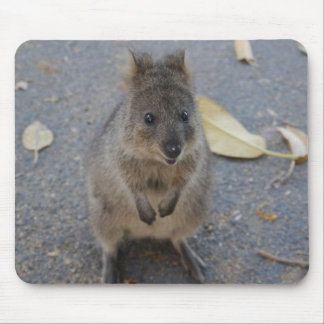 Quokka muispad muismat