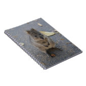Quokka notitieboek (Rechterzijde)