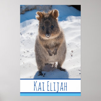 Quokka op de strand Australia Blue Boys Poster
