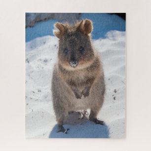 Quokka op het strand, 520 stuks legpuzzel