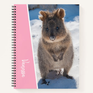 Quokka op het strand Australië, roze accent meisje Notitieboek