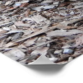 Quokka Poster (Hoek)